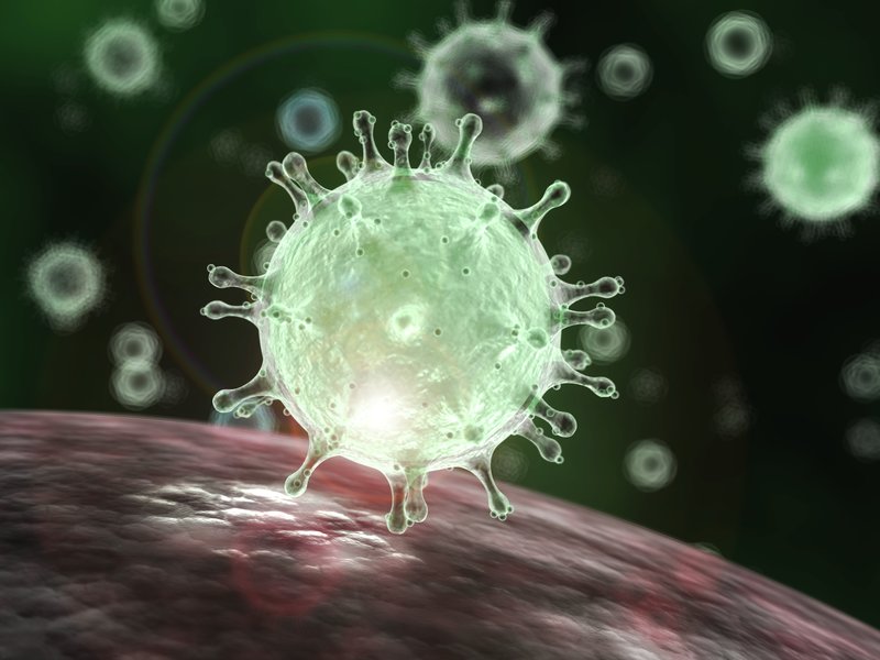 Novel Coronavirus
