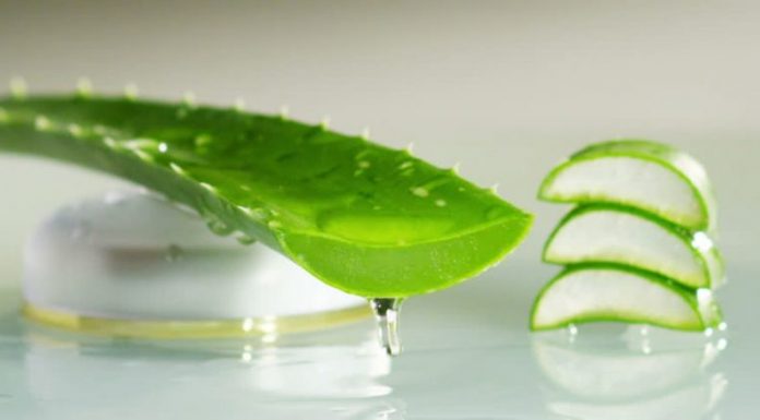 Know How To Use Aloe Vera for Skin Tag Removal Aloe Vera for Skin Tags Removal