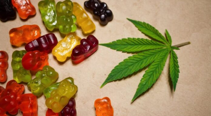 Why CBD Gummies Are a Perfect Addition to Your Yoga Session CBD Gummies Online