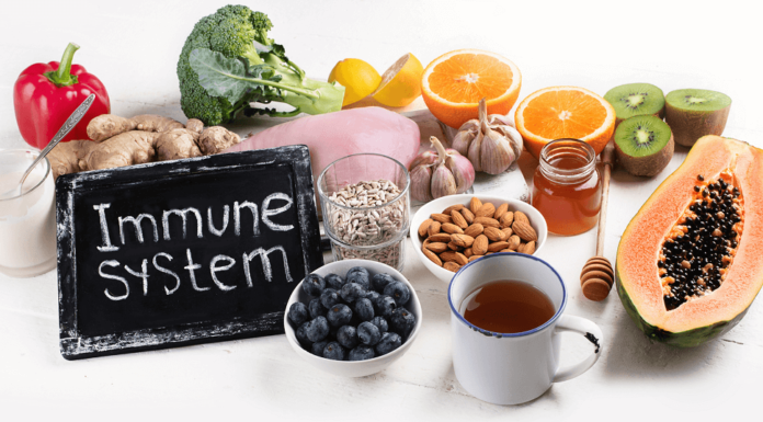 The Key to Strengthening One’s Immune System Immune System Foods & Habits