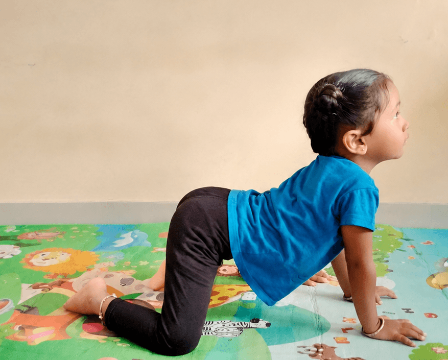 Cat Cow Yoga Pose (Marjariasana)
